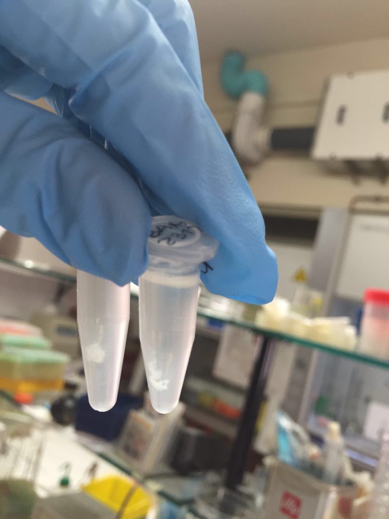 Biotechnology