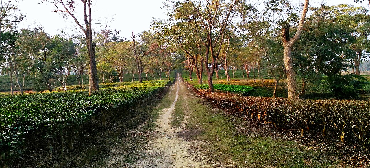 NIT Silchar Campus
